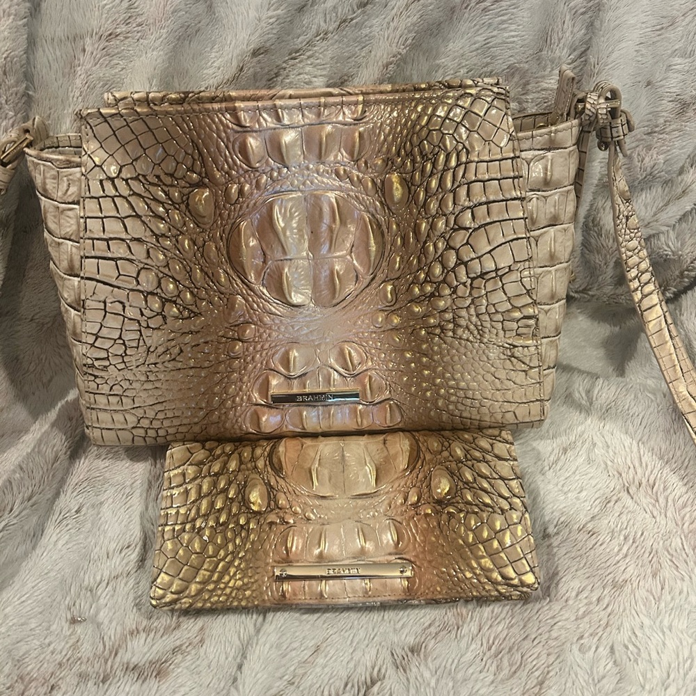 Brahmin Scallop Ombré in Hillary and Ady wallet